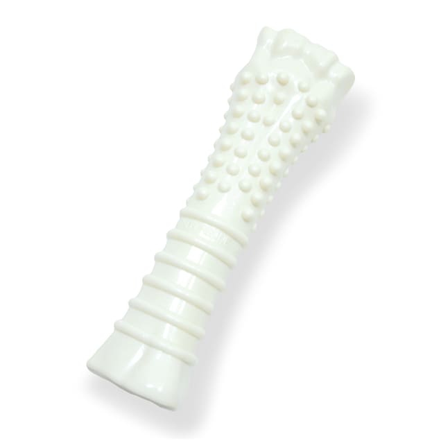 Nylabone souper hotsell