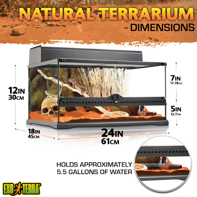 Exo terra petco clearance