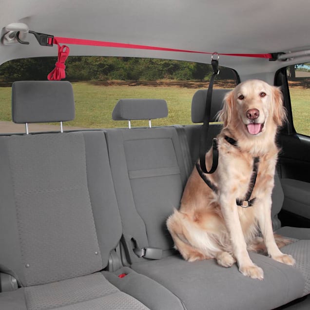 Dog Seat Belt Car Harness - Active Pets