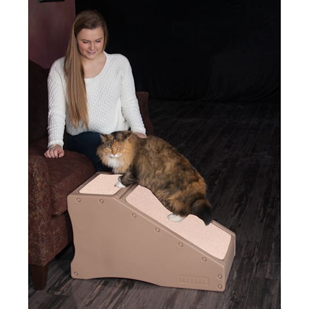 Petco pet ramp store