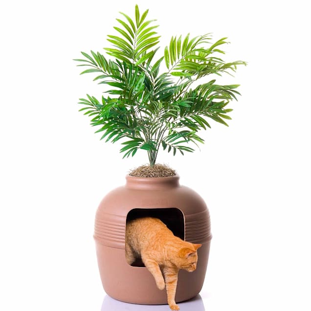 Good pet stuff company hidden cat litter box outlet