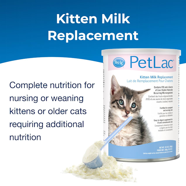 Petco cat milk cheap