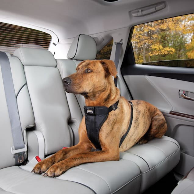Kurgo Tru Fit Smart Dog Harness