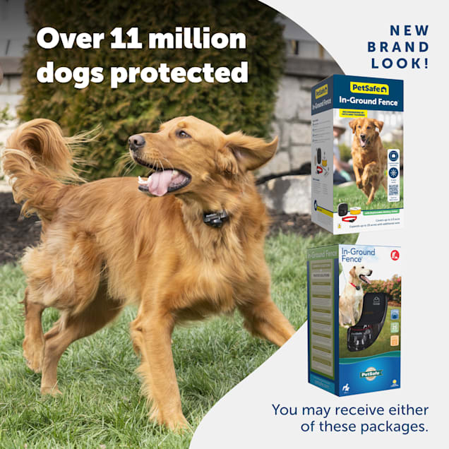 Petco wireless dog fence deals
