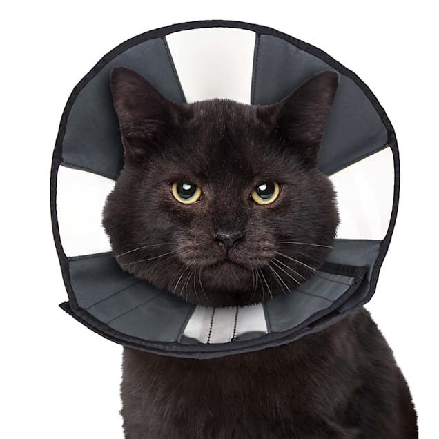 Procone soft recovery collar sale