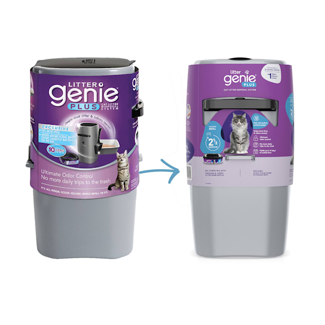 Where to buy cat genie new arrivals
