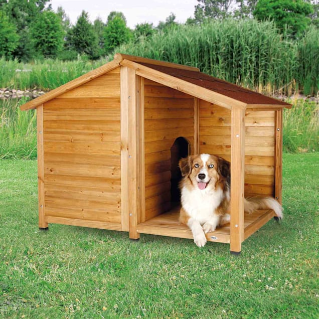 Petco outdoor dog kennel hot sale