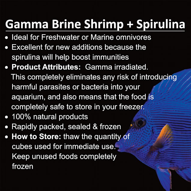 Petco frozen brine online shrimp
