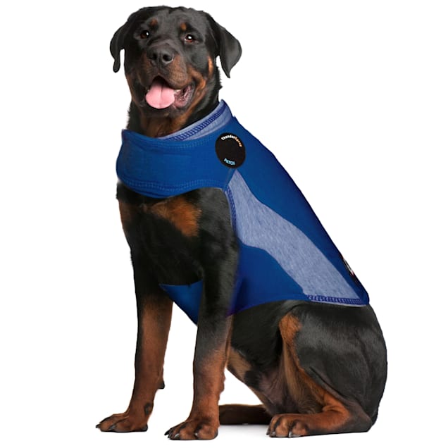 Thunder sales jacket petco