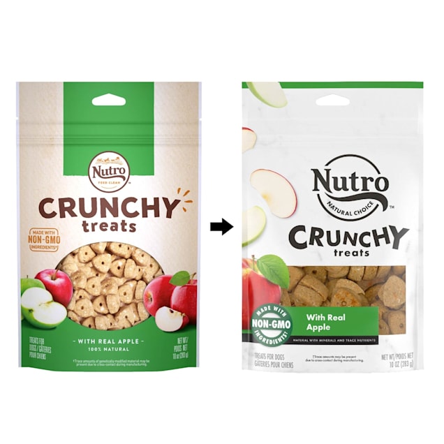 Nutro Crunchy Dog Treats with Real Apple 10 oz. Petco