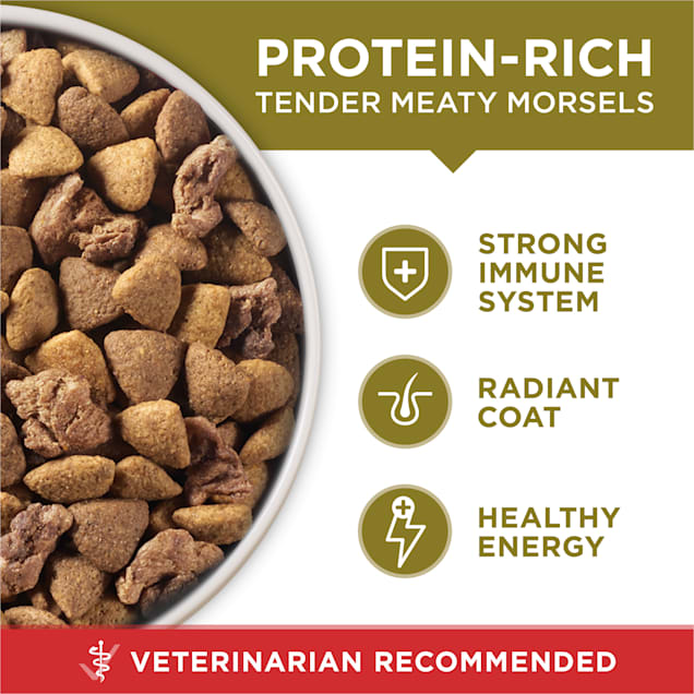 Purina ONE Natural SmartBlend Lamb & Rice Formula Dry Dog Food, 31.1 lbs.