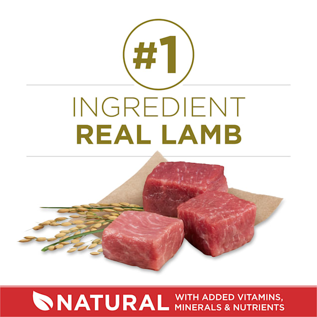 Purina one lamb and rice 31.1 lbs sale