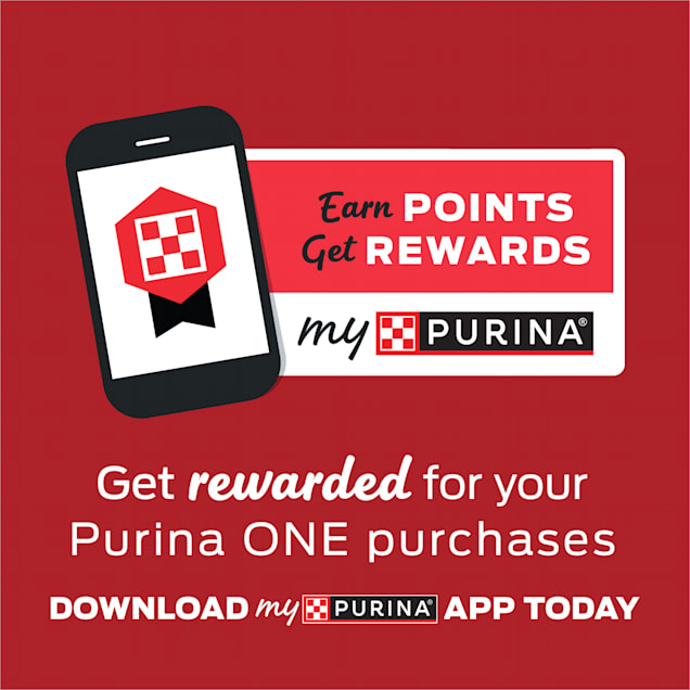 Purina ONE SmartBlend Chicken & Rice Formula Dry Dog Food