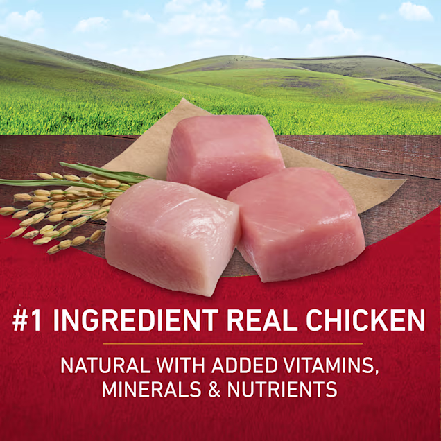 Purina One Smartblend Natural Chicken Rice Formula Dry Dog Food 31 1 Lbs Bag Petco