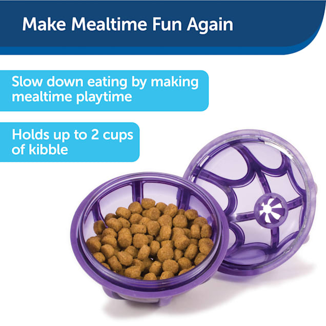 PetSafe Busy Buddy Treat Dispensing Kibble Nibble Dog Toy, Small