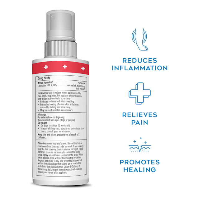 Dogswell Remedy Recovery Medicated Hot Spot Spray for Dogs 4 fl