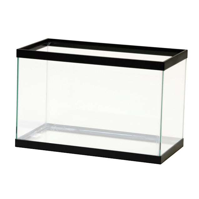 Aqueon Standard Open-Glass Glass Aquarium Tank, 5.5 Gallon