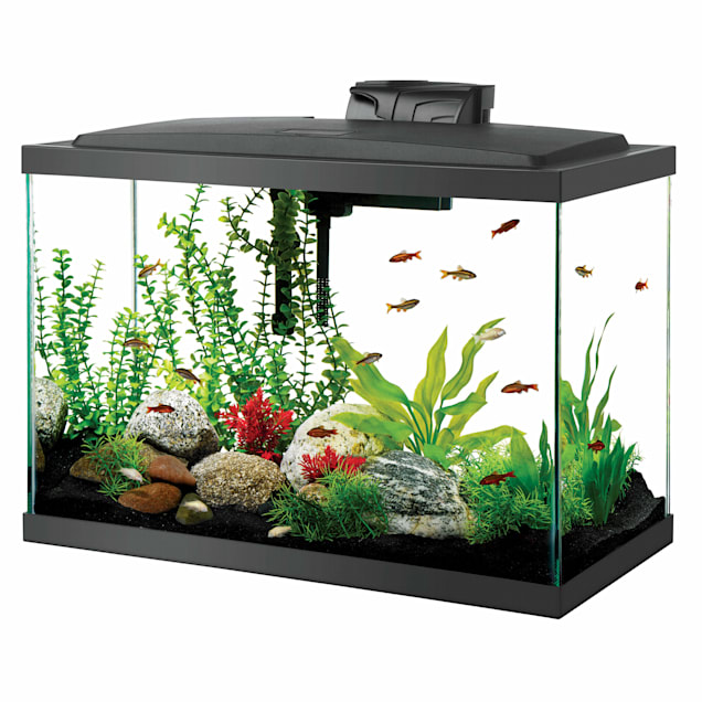 Grey Minimalist Rectangular Eco Aquarium Tank