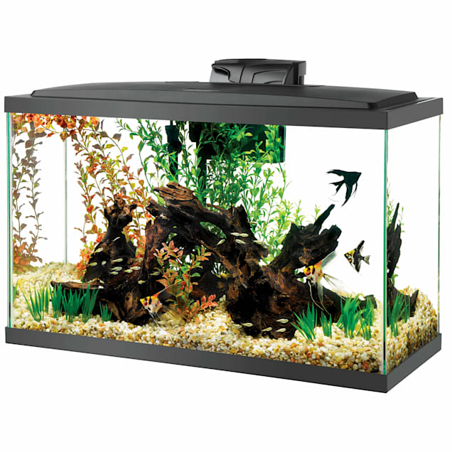 Tetra Glass 29 Gallon Rectangular Shippable Open Stock Fish Aquarium Tank