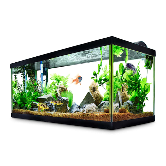 40-50 Gallon Fish Tank Stand with Cabinet - Grey