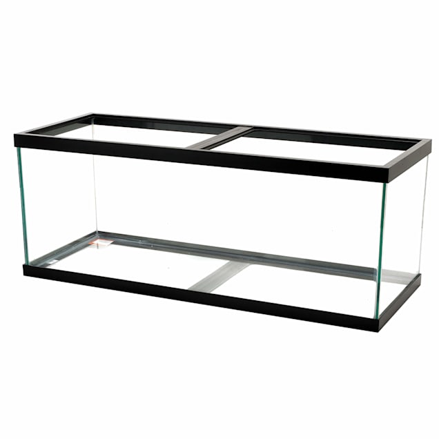 Aqueon Standard Glass Aquarium Tank 55 Gallon Petco Sadar bazar, ambala mukherji building, guru nanak marg, sadar bazar, ambala steel mesh water tank fish tank. aqueon standard glass aquarium tank 55 gallon