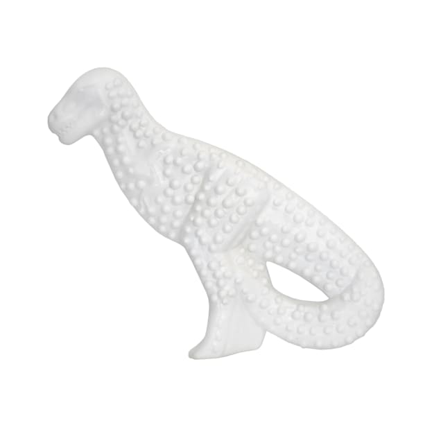 Nylabone Dental Dinosaur Dog Chew, Small - Carousel image #1
