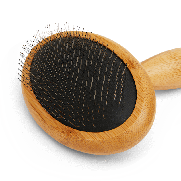 Petco dog brush top