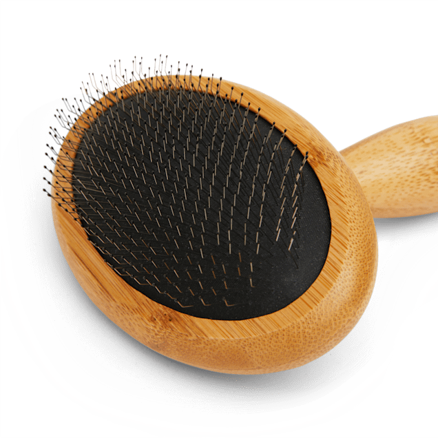 Accessory: One Medium ROUND - approximately 2.75 Wide HORSE HAIR Brushes