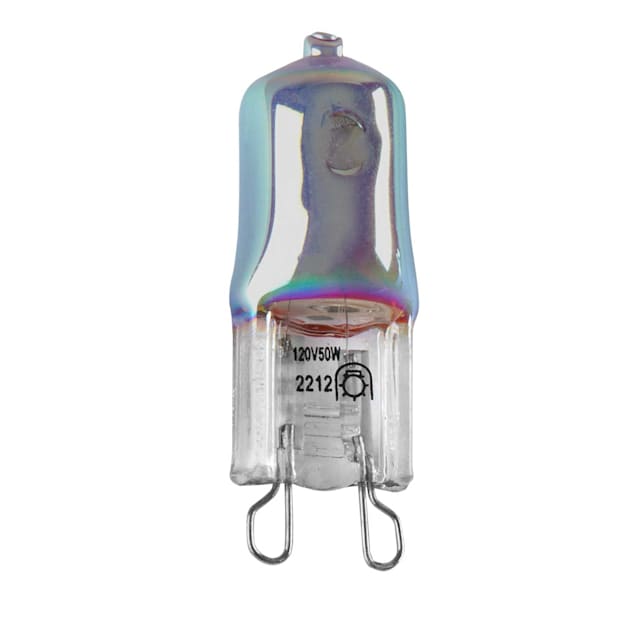 Pelagisch draai vreugde Zilla Mini Halogen 50 Watt Red Night Bulb | Petco