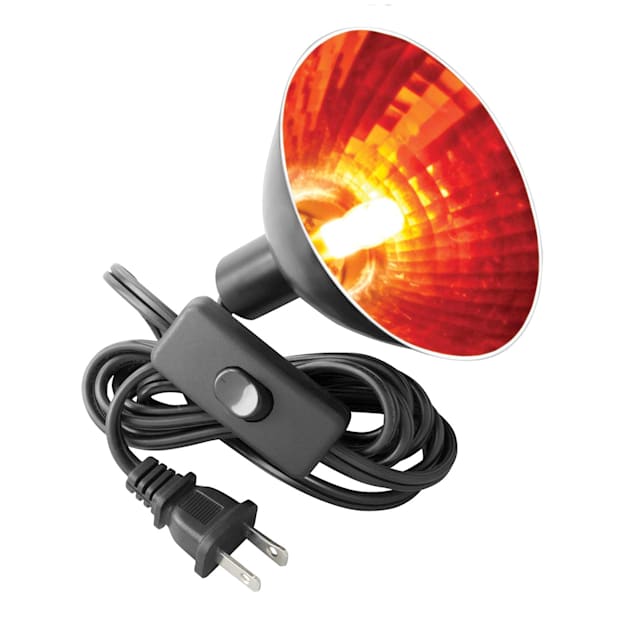 Zilla mini halogen bulb uvb online