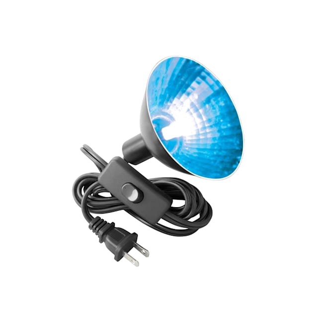 Zilla Mini Halogen 50 Watt Blue Day Bulb Petco