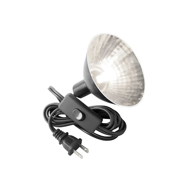 Zilla bulbs best sale