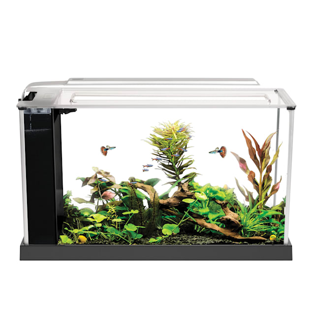 Petco 5 outlet gallon aquarium