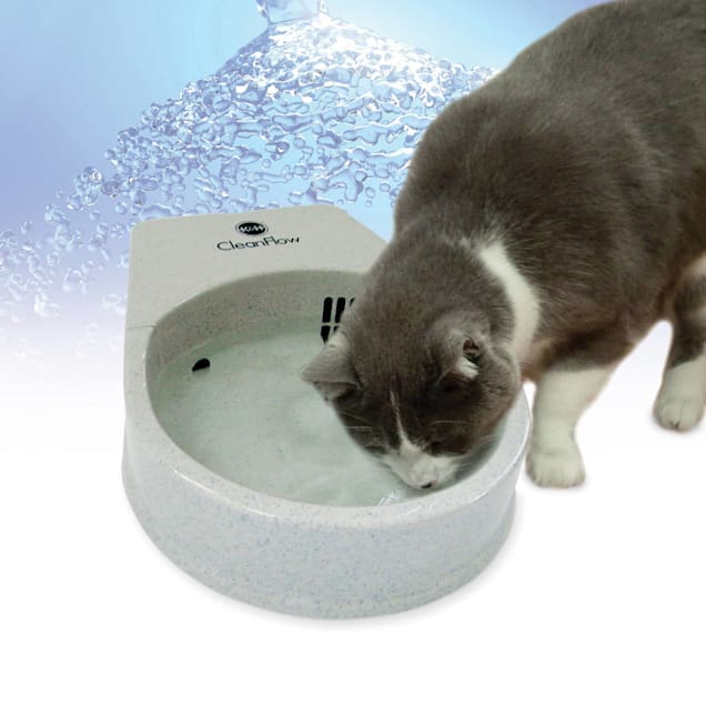 K&H Cat Clean Flow Filter Water Bowl for Cats, 80 oz. Capacity - Carousel image #1
