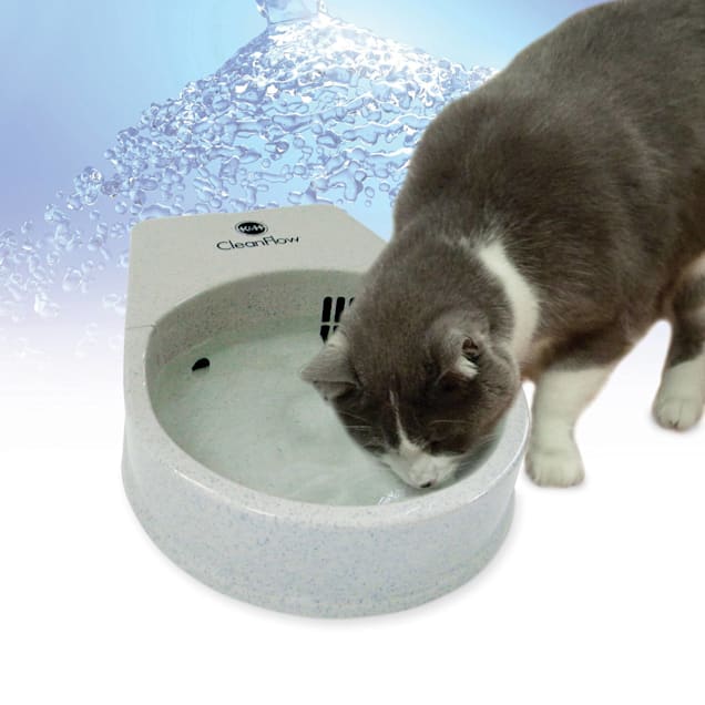 Cat flowing new arrivals water bowl