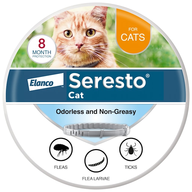 relais Toestand Tutor Seresto Bayer Flea And Tick Collar For Cats | Petco | Seresto Flea Collar,  Cat Collar For Fleas