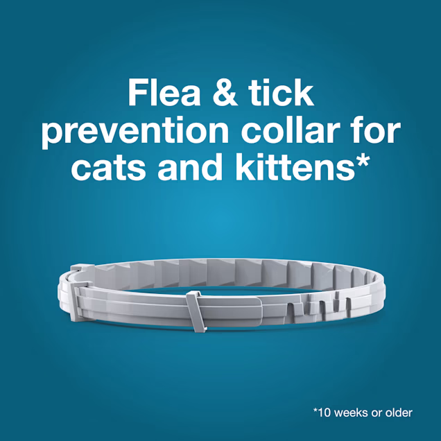 Petco seresto cat clearance