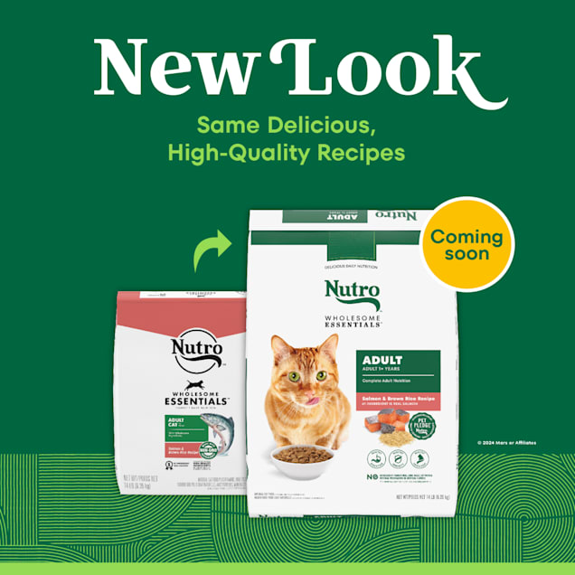 Nutro Wholesome Essentials Adult Dry Cat Food Chicken Brown Rice Recipe 3 lbs