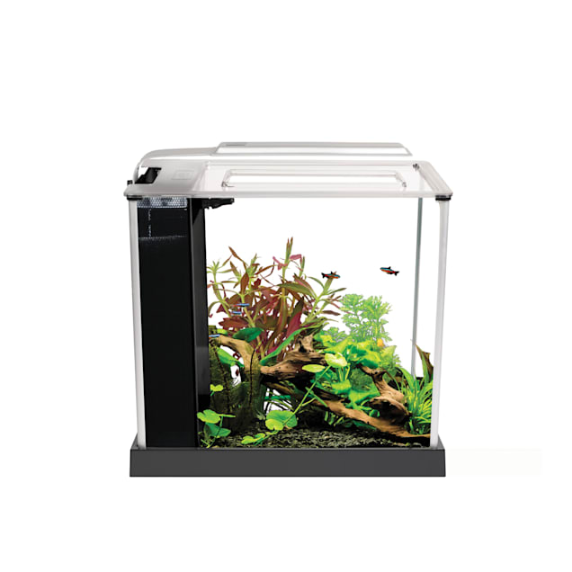 Fluval Spec Freshwater Aquarium Kit - Black - 10 L (2.6 US GAL