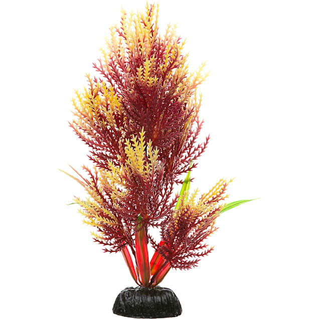 Imagitarium Red Hair grass Midground Plastic Aquarium