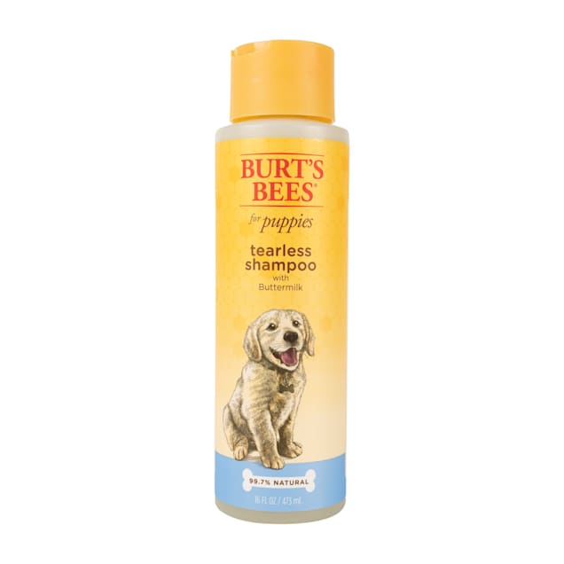 Burt's Bees for Dogs Tearless Puppy Shampoo, 16 fl.oz. - Carousel image #1