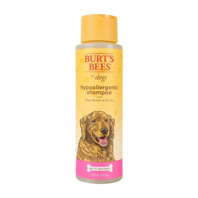 Bedachtzaam PapoeaNieuwGuinea Helderheid Burt's Bees for Dogs Hypoallergenic Shampoo, 16 fl.oz. | Petco
