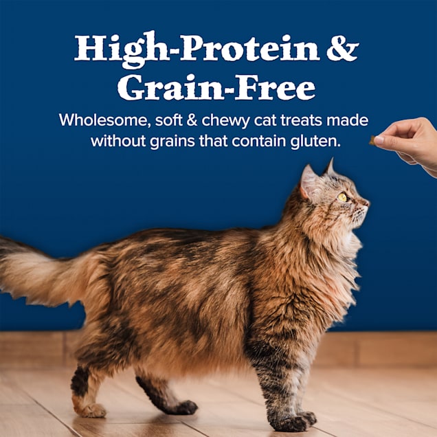 Blue wilderness cat food petco store