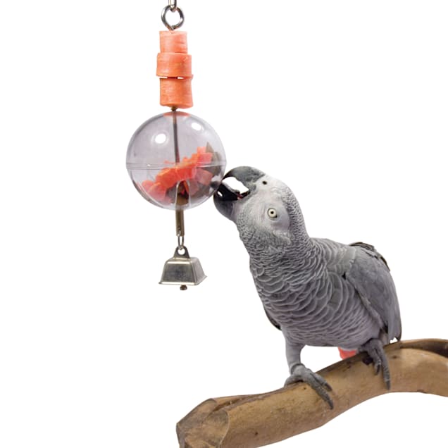 Caitec bird toys sale
