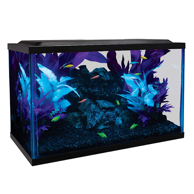 10 Gallon Glass Aquarium Kit