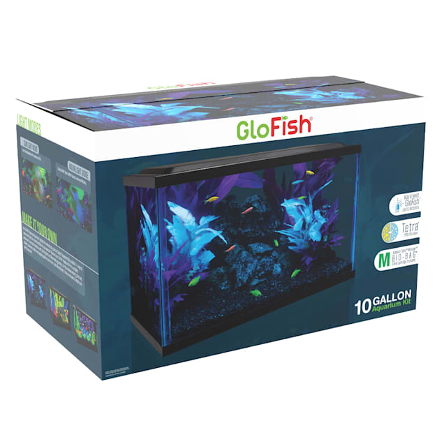 GloFish Glass Aquarium Kit 10 Gallon, 20 L X 10  W X 12 H