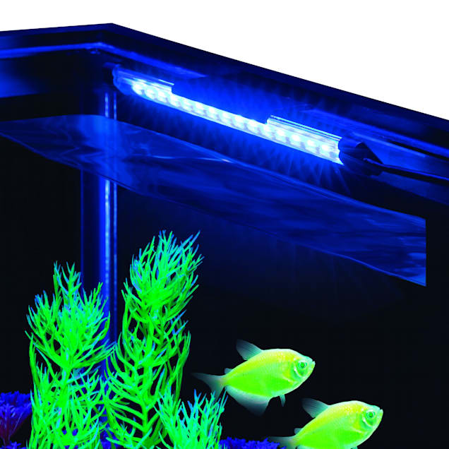GloFish Blue LED Aquarium Waterproof Light, 8 L