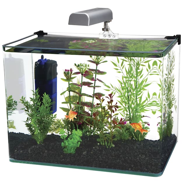 Petco 5 gallon aquarium 2025