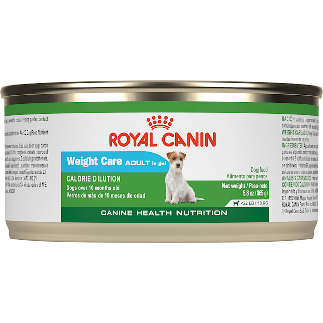 Jaarlijks inhoudsopgave Kantine Royal Canin Canine Health Nutritionadult Weight Care In Gel Wet Dog Food,  5.8 oz. | Petco