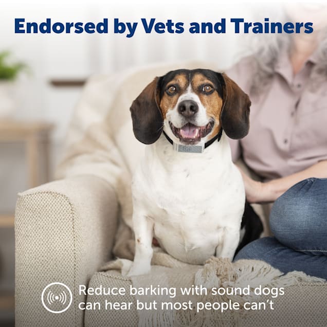 Barking control collar sales